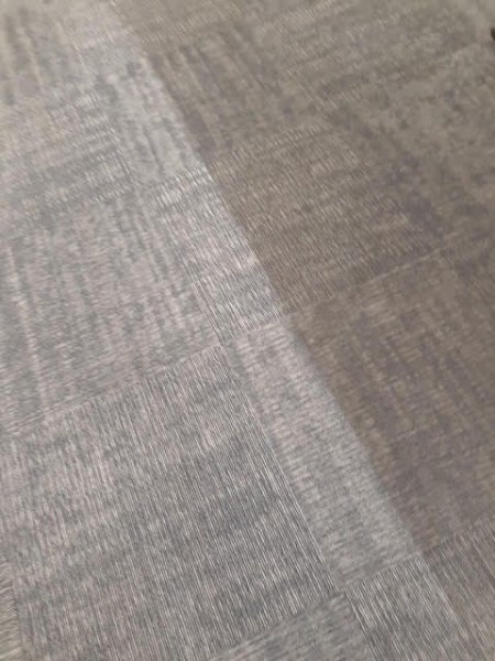 Commercial Carpet Cleaning in Inglewood, NE (3)